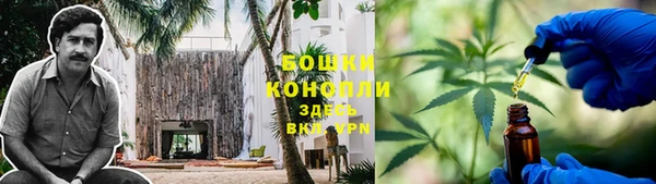 МДПВ Бронницы