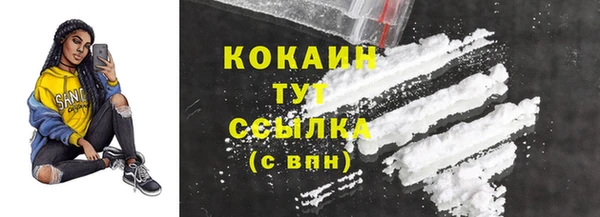 прущие грибы Бородино