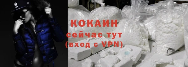 прущие грибы Бородино