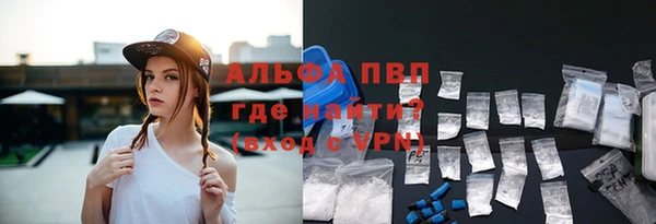 прущие грибы Бородино