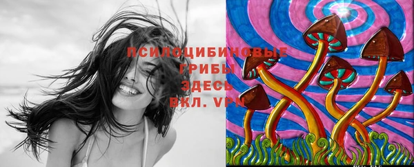 синтетический гашиш Верхний Тагил