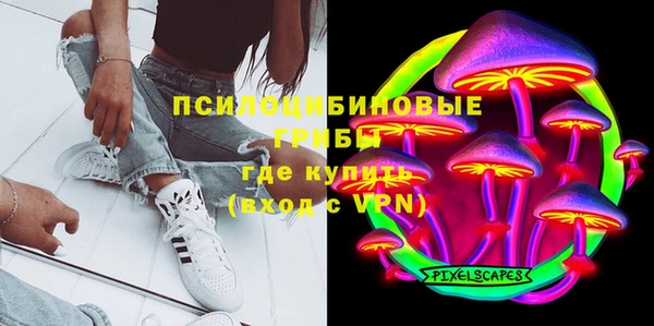 МДПВ Бронницы