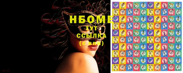 прущие грибы Бородино