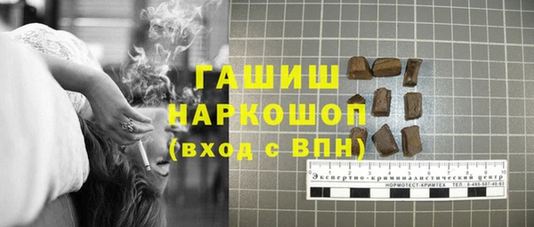 прущие грибы Бородино