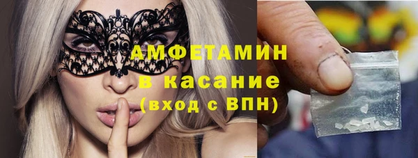 прущие грибы Бородино