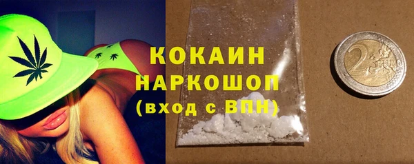 прущие грибы Бородино